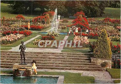 Cartes postales moderne Geneve La Roseraie du Parc de La Grange
