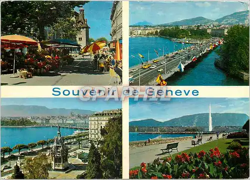 Cartes postales moderne Souvenir de Geneve