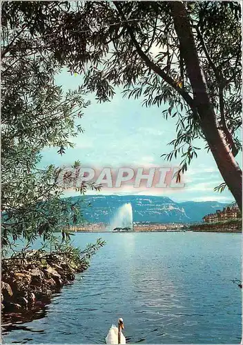 Cartes postales moderne Geneve et le jet d eau vue du Parc Mon Repos