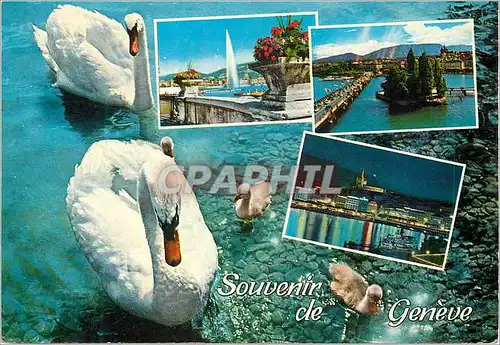 Cartes postales moderne Souvenir de Geneve