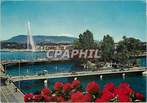 Cartes postales moderne Geneve Le pont des Bergues et lIle Rousseau