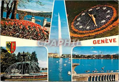 Cartes postales moderne Geneve Le Mont Blanc vu de la Perle du Lac