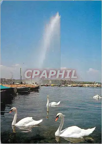 Moderne Karte Geneve Le jet d eau Cygnes