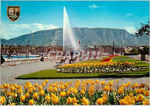 Cartes postales moderne Geneve Le Quai Wilson et le jet d eau