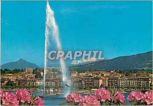 Cartes postales moderne Geneve Le jet d eau et le Mont Blanc