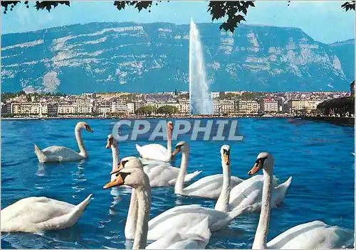 Cartes postales moderne Geneve La Rade