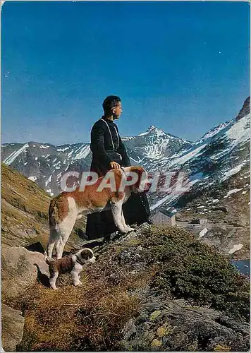 Cartes postales moderne Col du Grand Saint Bernard Un chanonine avec le chien Barry et son petit chiot