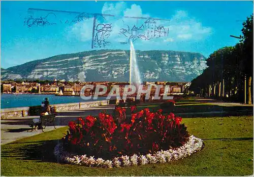 Cartes postales moderne Geneve Le Quai Wilson et le Jet d eau