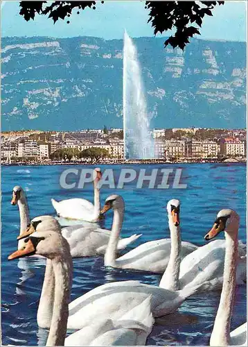 Cartes postales moderne Geneve La rade