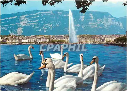 Cartes postales moderne Geneve La rade