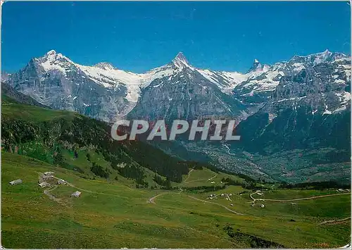 Cartes postales moderne Grindelwald Bussalp mit Wetterhorn