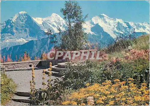 Cartes postales moderne Interlaken Eiger Monch und Jungfrau