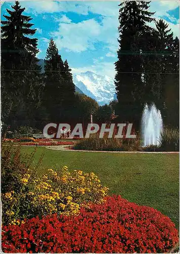 Cartes postales moderne Interlaken Kursaalgarten
