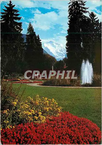 Cartes postales moderne Interlaken Kursaalgarten