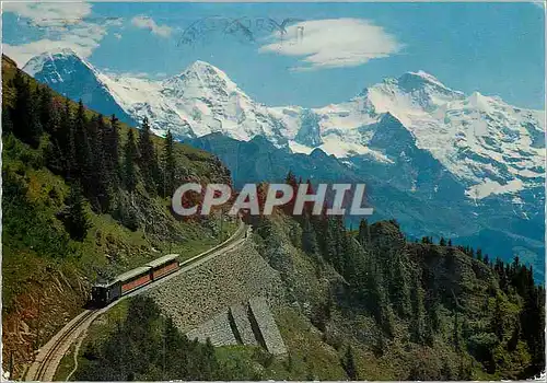 Moderne Karte Interlaken Schynige Platte Bahn Train