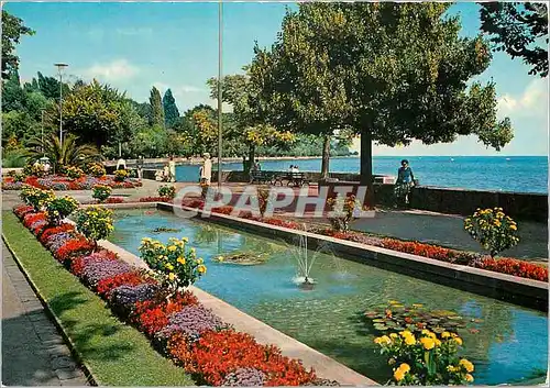 Cartes postales moderne Lausanne Ouchy Le quai fleuri