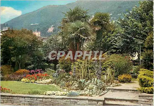 Cartes postales moderne Locarno Parc au quai