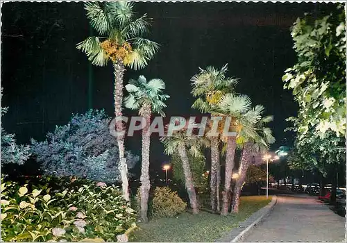 Moderne Karte Locarno Lago Maggiore Les jardins sur les quais Vue nocturne