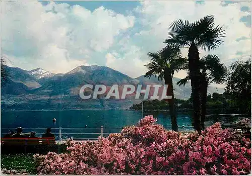 Cartes postales moderne Locarno Lago Maggiore