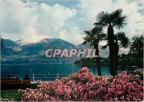Cartes postales moderne Locarno Lago Maggiore