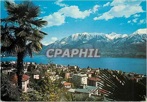 Cartes postales moderne Locarno Muralto Lago Maggiore