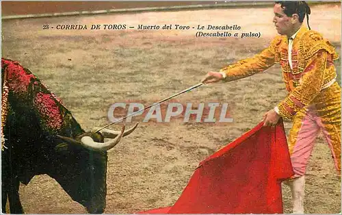 Cartes postales Corrida de Toros Muerto del Toro Le Descabello