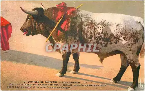 Cartes postales Courses de Taureaux Avant l Escotade