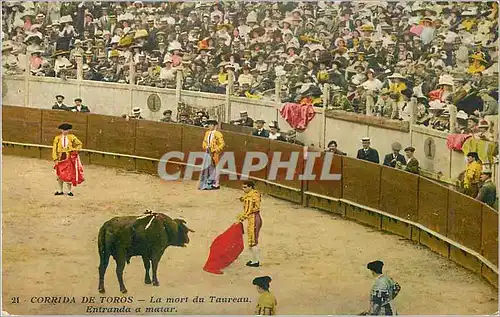 Ansichtskarte AK Corrida de Toros La mort du Taureau Entrada a matar