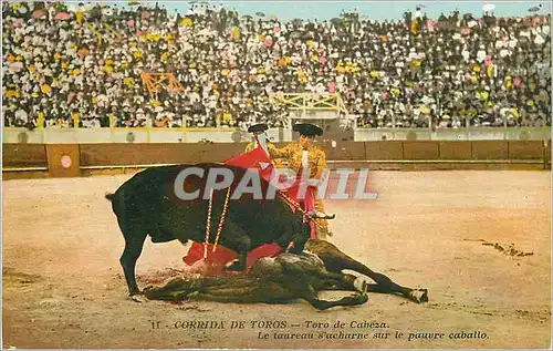 Cartes postales Corrida de Toros Toro de Cabeza Le taureau s acharne sur le pauvre caballo