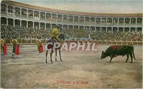 Cartes postales Citando a la pica