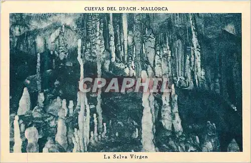 Cartes postales Cuevas del Drach Mallorca La Selva Virgen