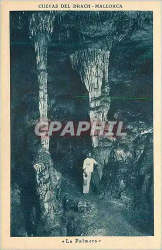 Cartes postales Cuevas del Drach Mallorca La Palmera