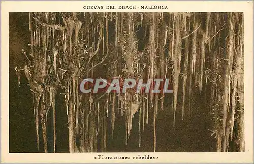 Cartes postales Cuevas del Drach Mallorca Floraciones rebeldes