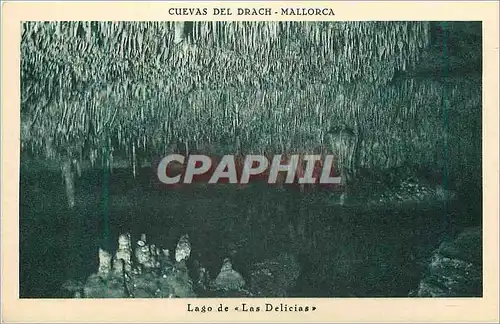 Ansichtskarte AK Cuevas del Drach Mallorca Lago de Las Delicias