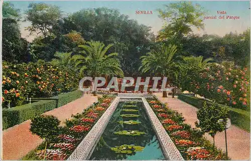 Cartes postales Sevilla Vista parcial del parque