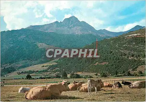 Cartes postales moderne Pirineo Navarro Vallee du Roncal au fond piton de la Carchela