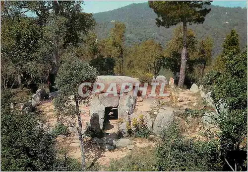 Moderne Karte Romanya de la Selva Cava d En Dayna