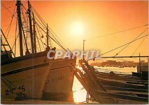 Cartes postales moderne Santa Pola Alicante Le port au declin du jour Bateaux