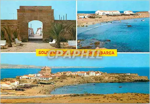 Cartes postales moderne Isla de Tabarca Alicante Vues diverses