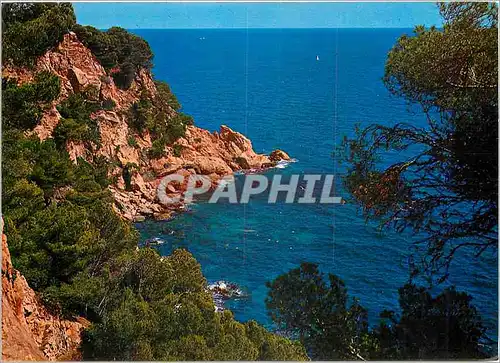 Cartes postales moderne Costa Brava Cap roig Detalle