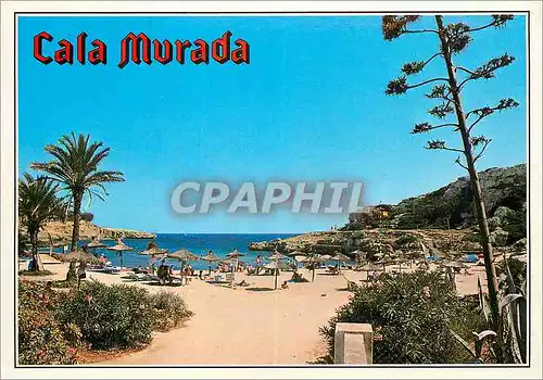 Cartes postales moderne Cala Murada Mallorca