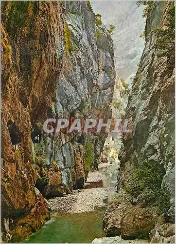 Moderne Karte Picos de Europa Gorge du Cares