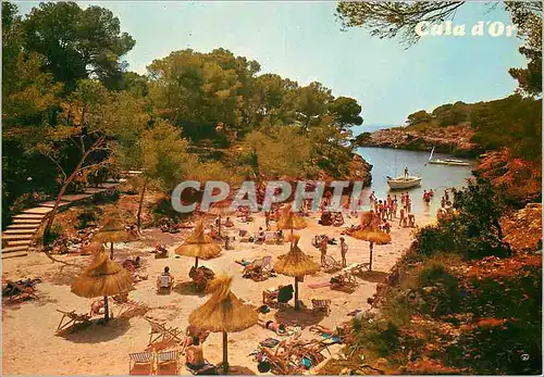 Cartes postales moderne Mallorca Baleares Espana Cala d Or Cala Egos