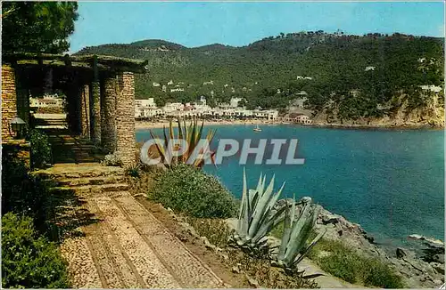 Cartes postales moderne Costa Brava Palafrugell Playe de Llafranch