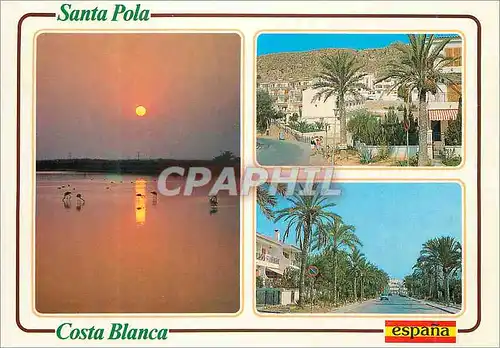 Cartes postales moderne Costa Blanca Santa Pola Alicante Vues diverses