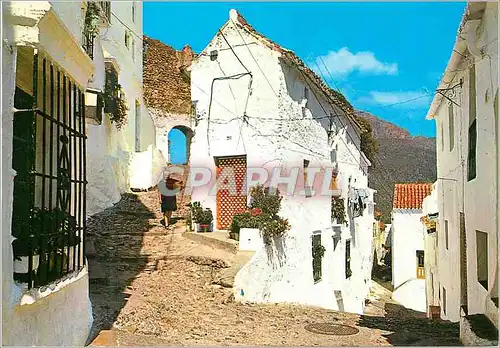 Cartes postales moderne Costa del Sol Casares Rue typique