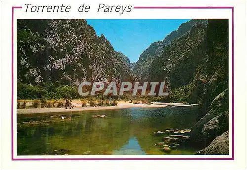 Cartes postales moderne Mallorca Baleares Espana