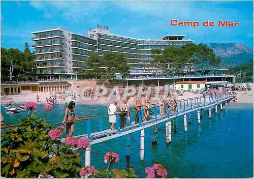 Cartes postales moderne Camp de Mar Mallorca