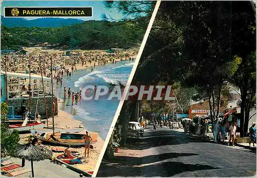 Cartes postales moderne Mallorca Paguera