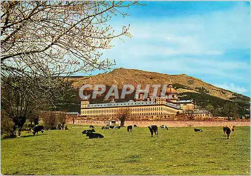 Cartes postales moderne San Lorenzo de El Escorial Madrid Monastere Vue partielle